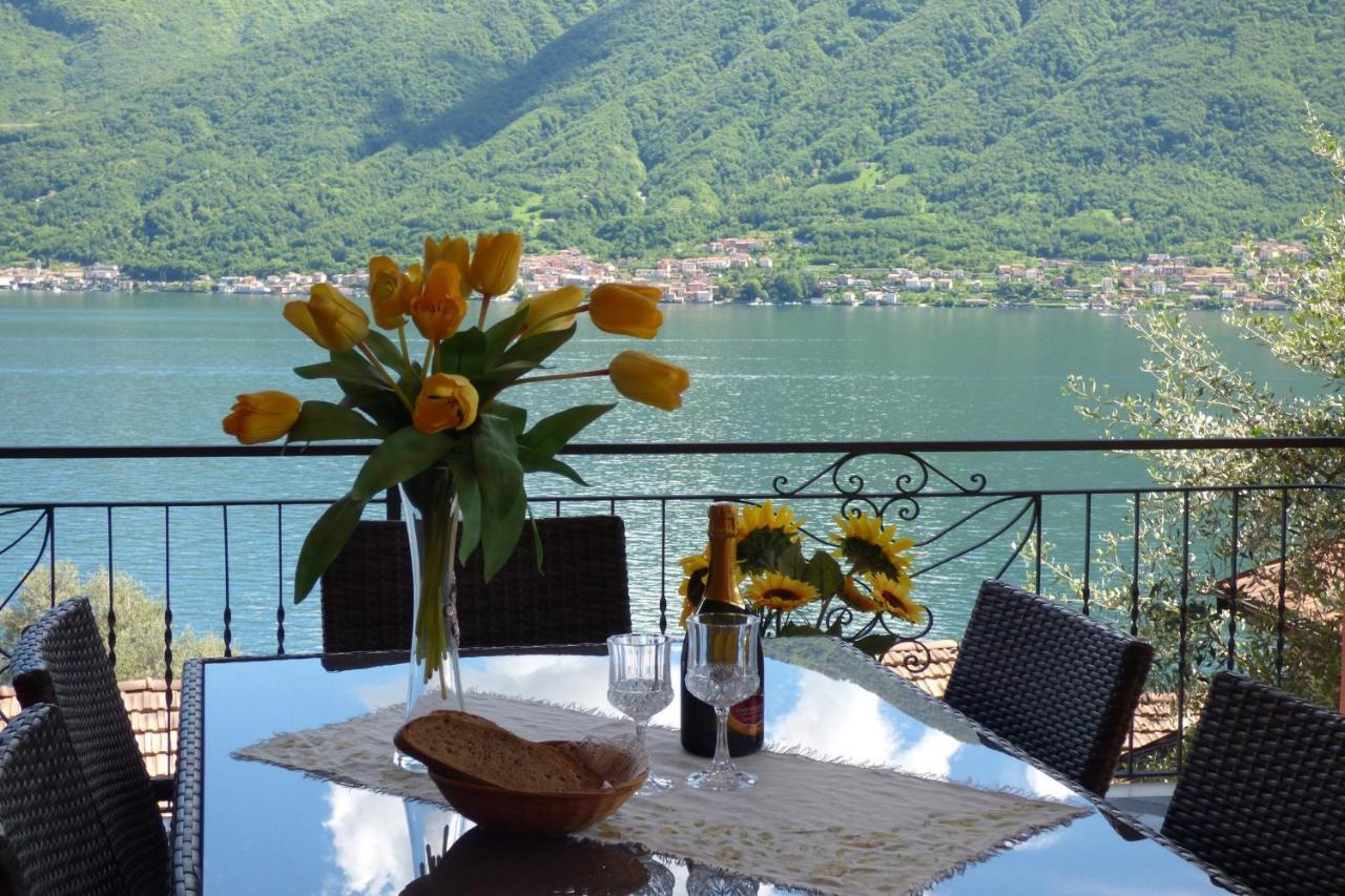 Isola Vista - Terrazzo Daire Sala Comacina Dış mekan fotoğraf